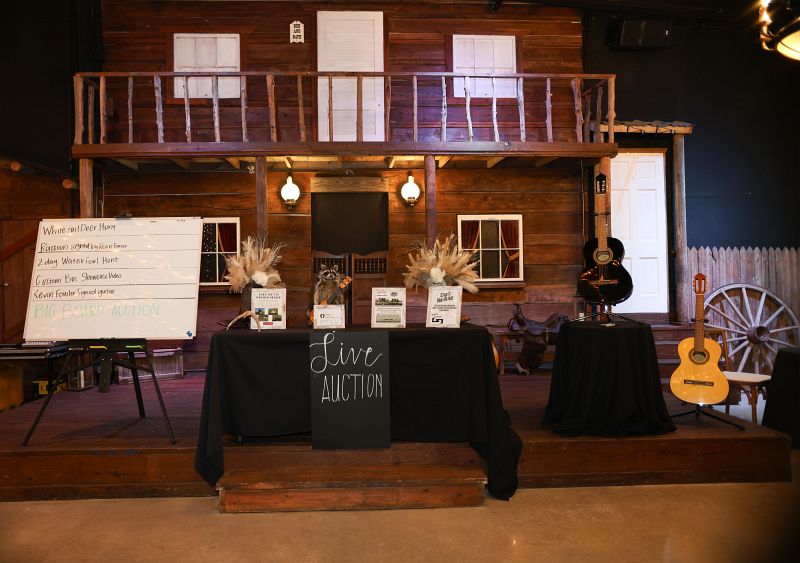 Live Auction items at Boots &amp; Bling 2025